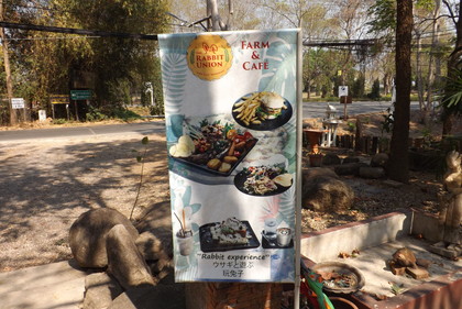 お店前ののぼり（ウサギと遊ぶと日本語あり）